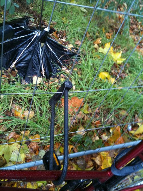 hornoxe.com_picdump178_86