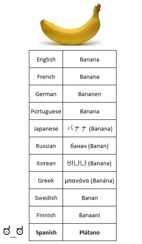 hornoxe.com_picdump178_95