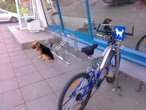 hornoxe.com_picdump180_029