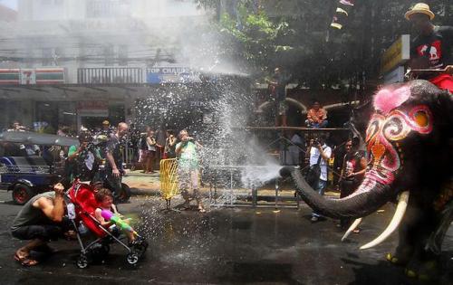 hornoxe.com_picdump180_036