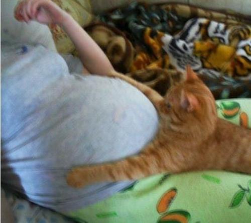 hornoxe.com_picdump180_058