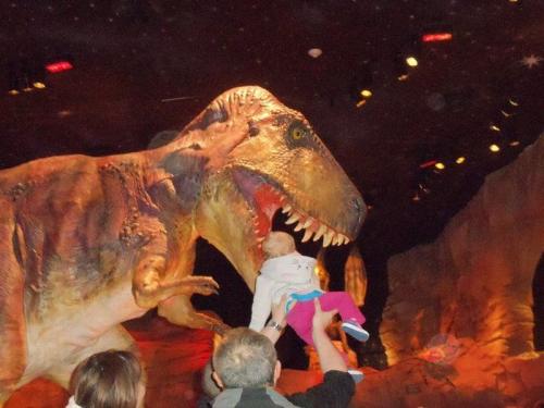 hornoxe.com_picdump180_073