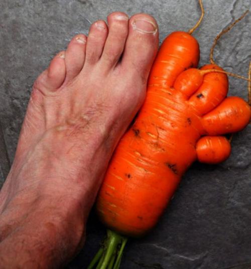 hornoxe.com_picdump180_078