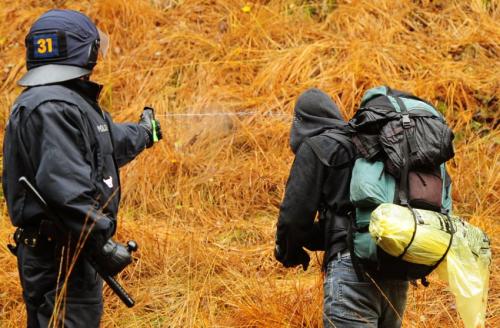 GERMANY-ENVIRONMENT-POLITICS-NUCLEAR-CASTOR-PROTEST