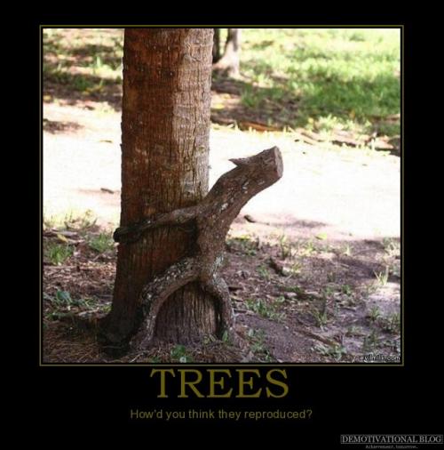 hornoxe.com_picdump181_005