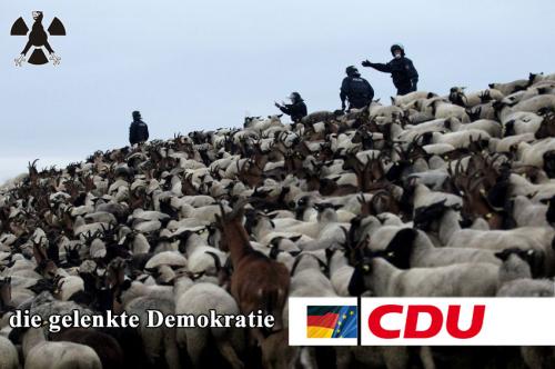 hornoxe.com_picdump181_007