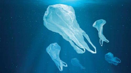 hornoxe.com_picdump181_035