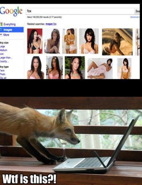 hornoxe.com_picdump181_048