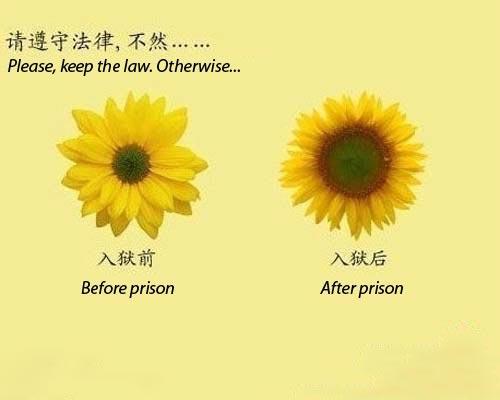 hornoxe.com_picdump181_058