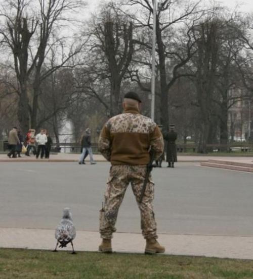 hornoxe.com_picdump181_078