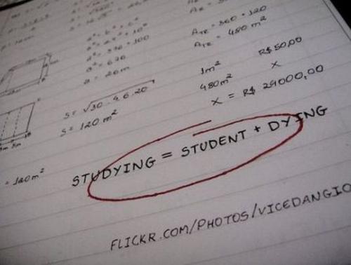 hornoxe.com_picdump181_079