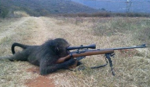 hornoxe.com_picdump182_034