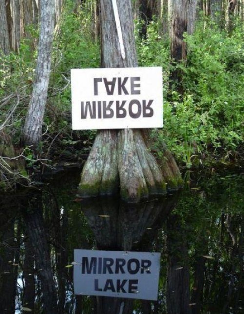 hornoxe.com_picdump182_041