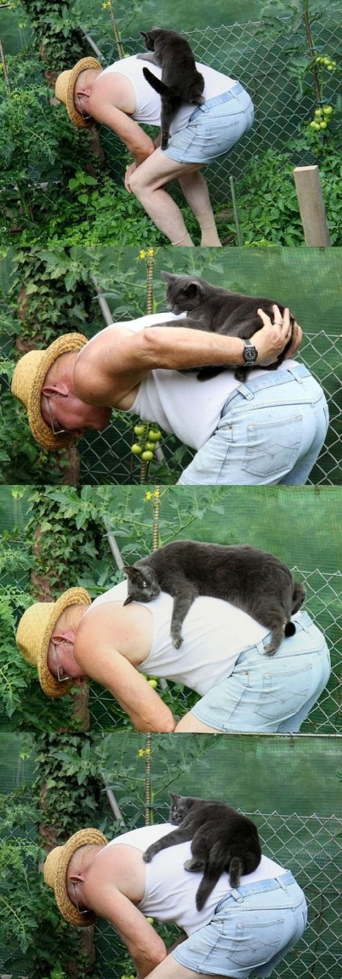 hornoxe.com_picdump182_061