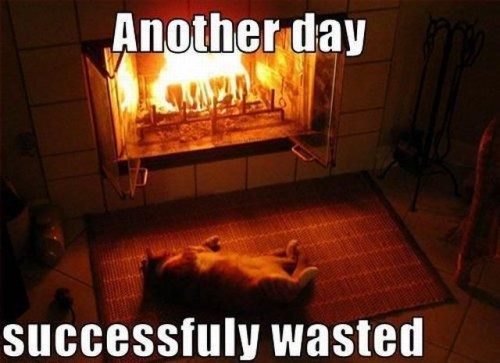 hornoxe.com_picdump182_066