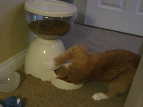 hornoxe.com_picdump182_067