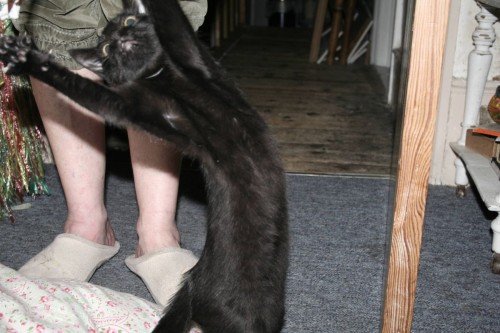 hornoxe.com_picdump182_076