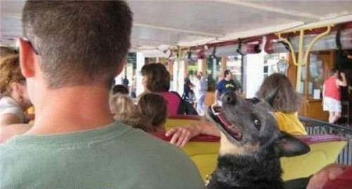 hornoxe.com_picdump182_080