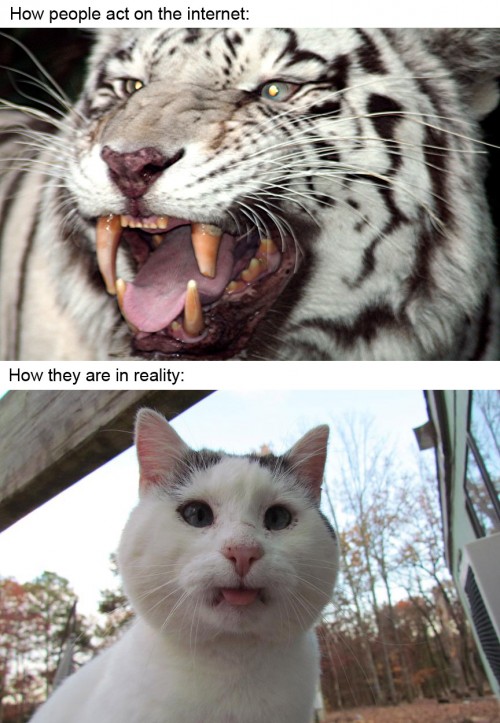 hornoxe.com_picdump183_19