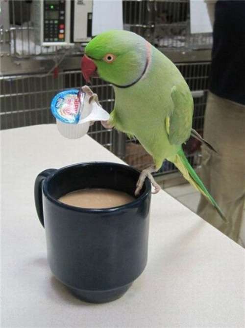 hornoxe.com_picdump183_23