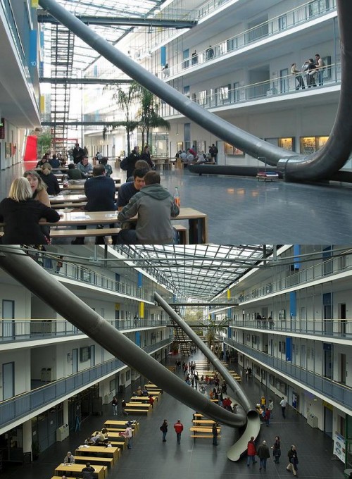 hornoxe.com_picdump183_25