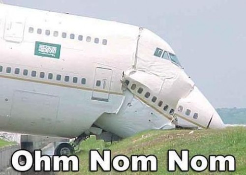 hornoxe.com_picdump183_34