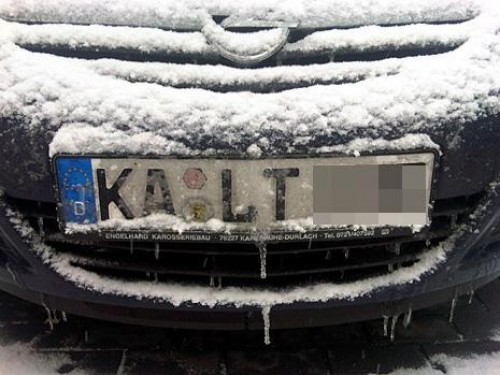 hornoxe.com_picdump183_40