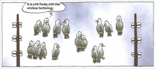 hornoxe.com_picdump183_48