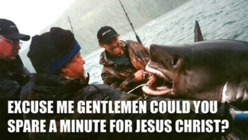 hornoxe.com_picdump183_52