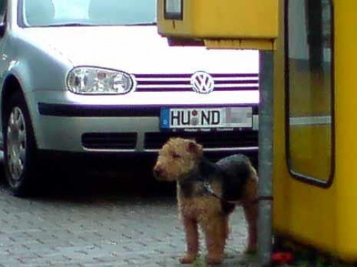 hornoxe.com_picdump184_43