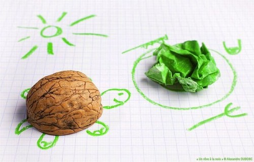 hornoxe.com_picdump184_64