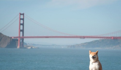 hornoxe.com_picdump184_74