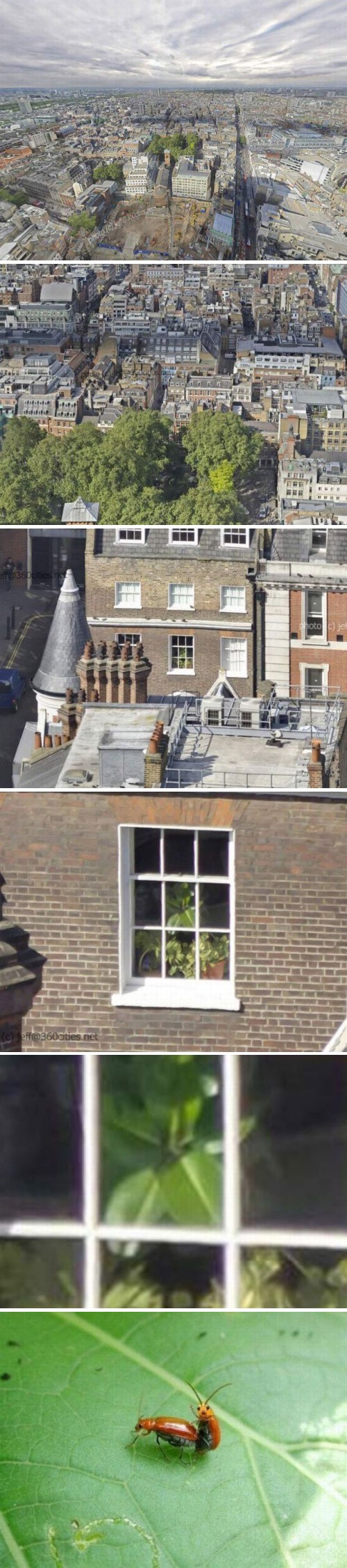 hornoxe.com_picdump185_019