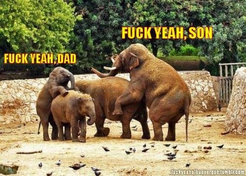 hornoxe.com_picdump185_022