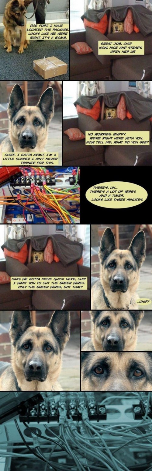 hornoxe.com_picdump185_038