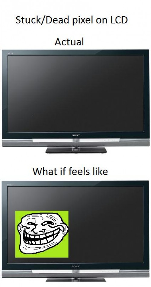 hornoxe.com_picdump185_042