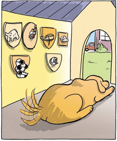 hornoxe.com_picdump185_067