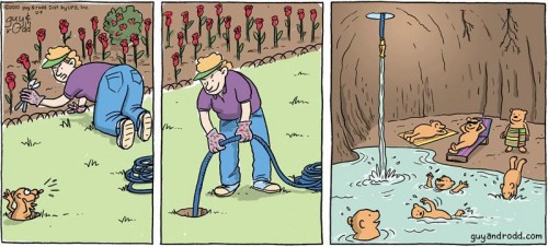 hornoxe.com_picdump185_068