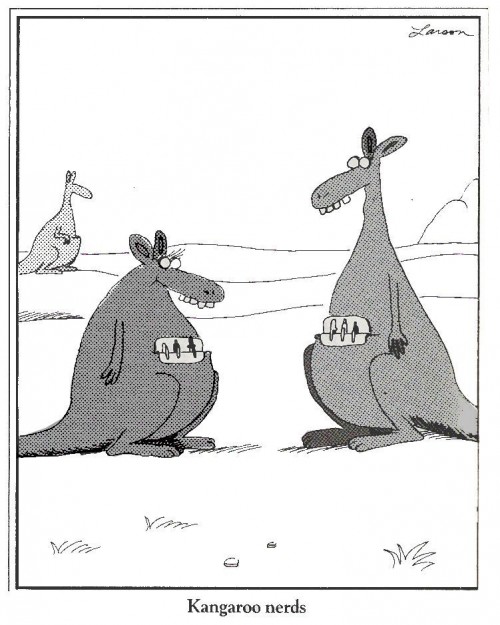 hornoxe.com_picdump185_070