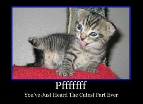 hornoxe.com_picdump185_073