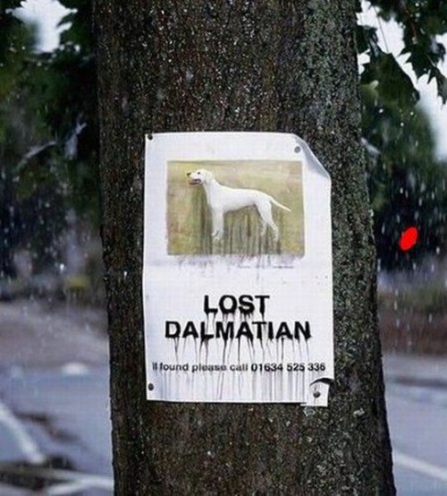 hornoxe.com_picdump185_111