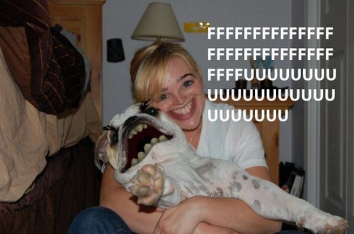 hornoxe.com_picdump185_121