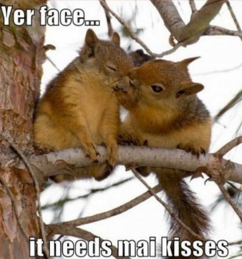 hornoxe.com_picdump185_123