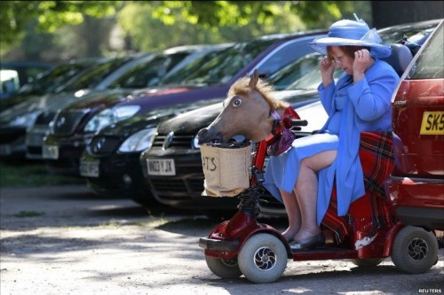 hornoxe.com_picdump185_131