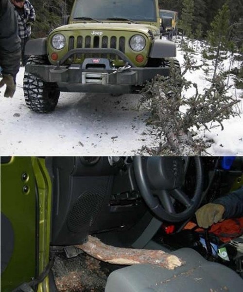 hornoxe.com_picdump185_133