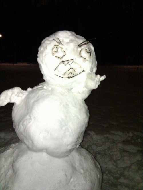 hornoxe.com_picdump186_042