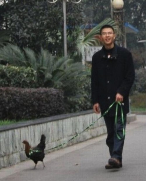 hornoxe.com_picdump186_045