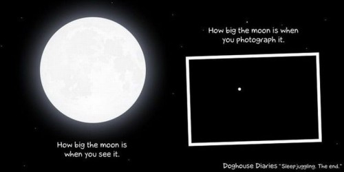 hornoxe.com_picdump186_063