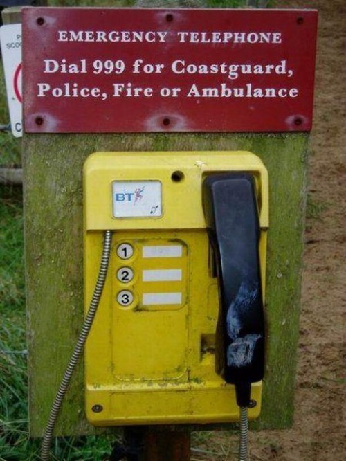 hornoxe.com_picdump186_080