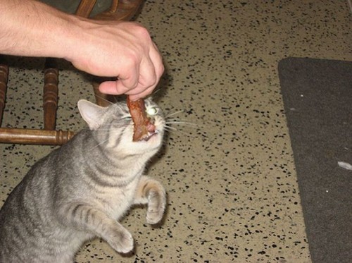 hornoxe.com_picdump186_082